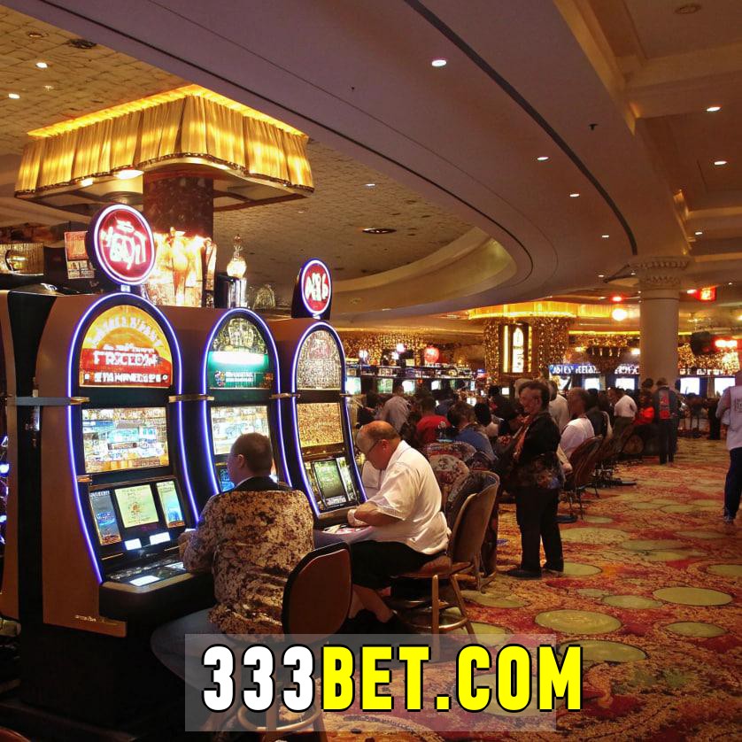 333bet com